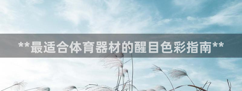 富联娱乐平台开户流程图：**最适合体育器材的醒目色彩