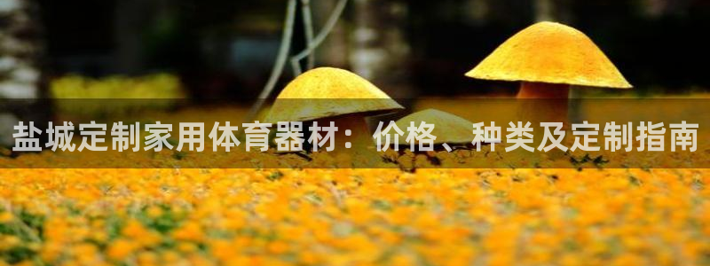 富联平台官网登录入口：盐城定制家用体育器材：价格、种