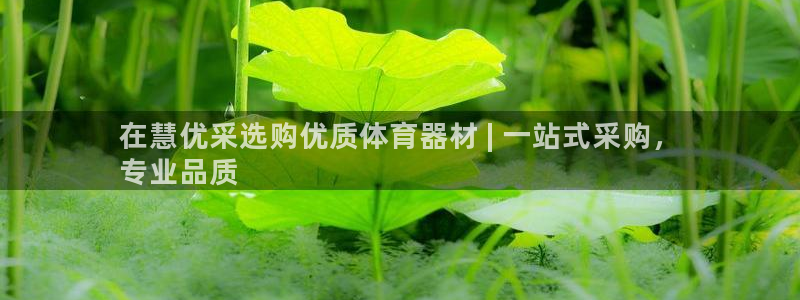 富联娱乐集7O777：在慧优采选购优质体育器材 | 