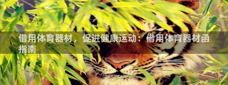 富联官网注册流程图片：借用体育器材，促进健康运动：借