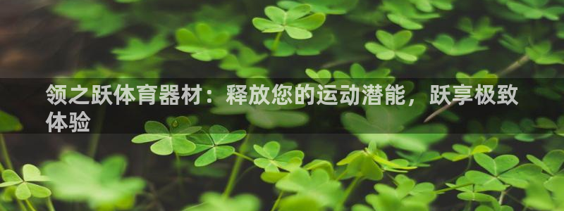 富联娱乐平台开户要钱吗现在：领之跃体育器材：释放您的