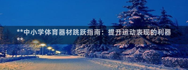 富联官网登录：**中小学体育器材跳跃指南：提升运动表
