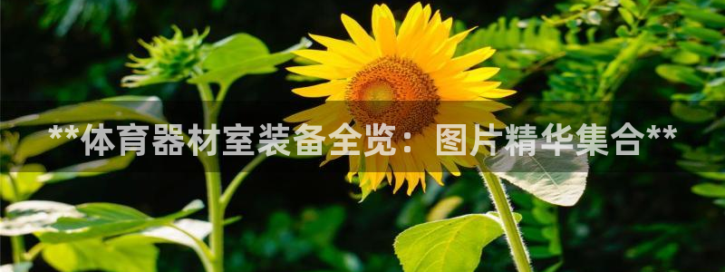 富联官网登陆网址：**体育器材室装备全览：图片精华集