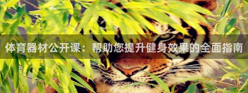 富联娱乐股东：体育器材公开课：帮助您提升健身效果的全