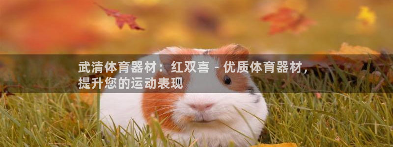 富联平台赢钱不给退怎么办理：武清体育器材：红双喜 -