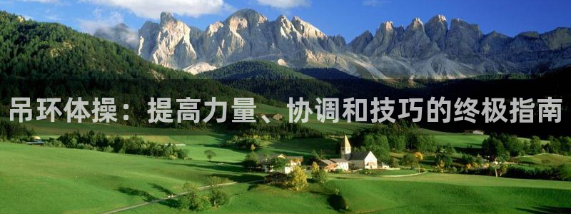富联平台马 411O31 富联：吊环体操：提高力量、