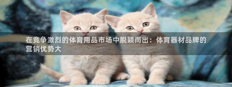 富联娱乐客户端app下载服务：在竞争激烈的体育用品市