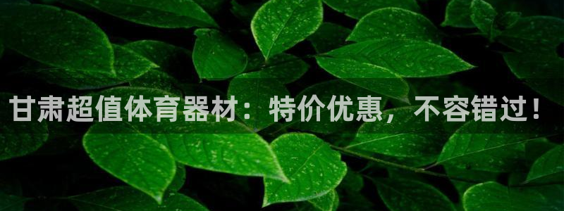 富联智能：甘肃超值体育器材：特价优惠，不容错过！