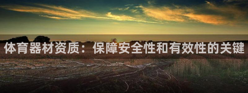 富联平台登入：体育器材资质：保障安全性和有效性的关键