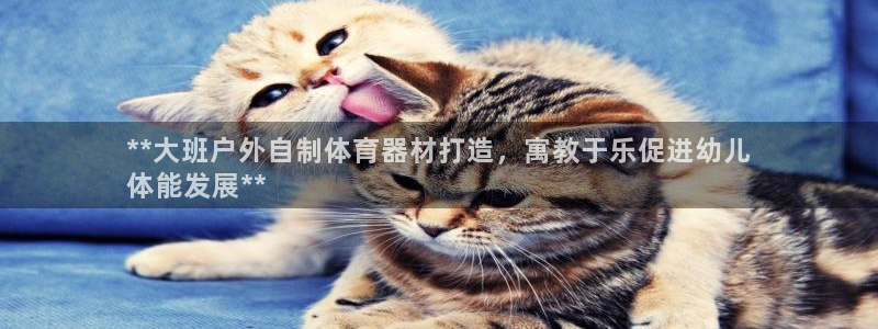 富联平台推 5O6917 富联