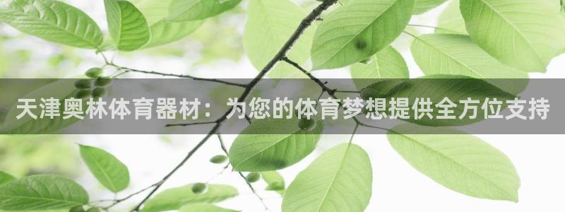富联官方网站登录：天津奥林体育器材：为您的体育梦想提