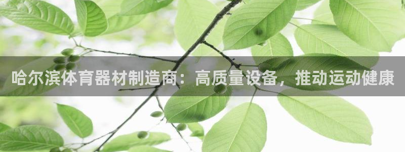 富联官方网站入口查询网址：哈尔滨体育器材制造商：高质