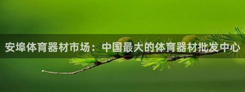 富联娱乐登录注册账号：安埠体育器材市场：中国最大的体