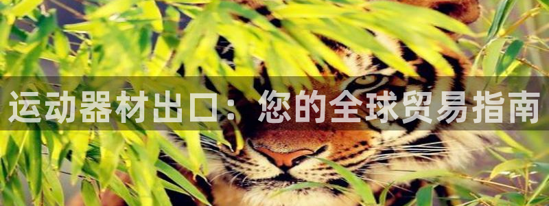 富联平台上级下级是什么：运动器材出口：您的全球贸易指