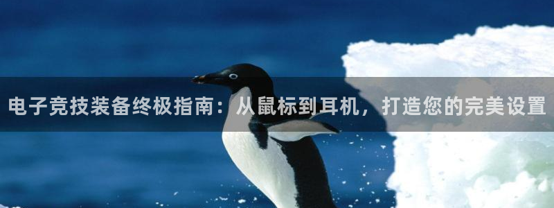 富联平台网站：电子竞技装备终极指南：从鼠标到耳机，打