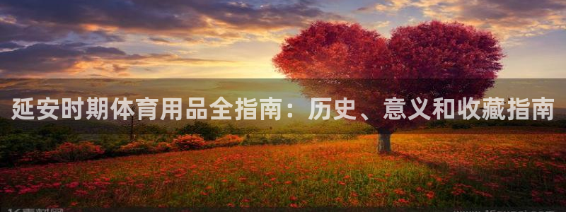 富联商厦：延安时期体育用品全指南：历史、意义和收藏指