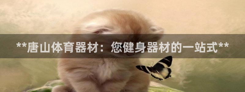 富联平台离7O777：**唐山体育器材：您健身器材的