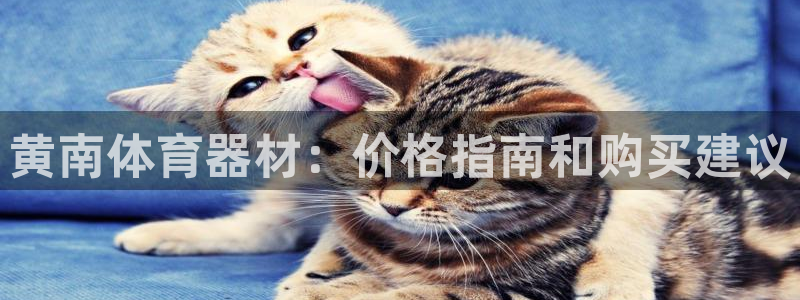 富联娱乐平台开户流程图：黄南体育器材：价格指南和购买