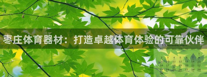 富联平台孩7O777：枣庄体育器材：打造卓越体育体验