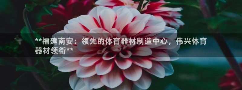 富联娱乐平台开户条件要求：**福建南安：领先的体育器