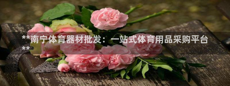 富联娱乐会员有什么用：**南宁体育器材批发：一站式体