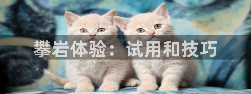 富联娱乐测速地址：攀岩体验：试用和技巧