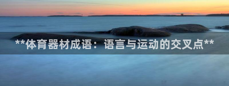 富联芯科技：**体育器材成语：语言与运动的交叉点**