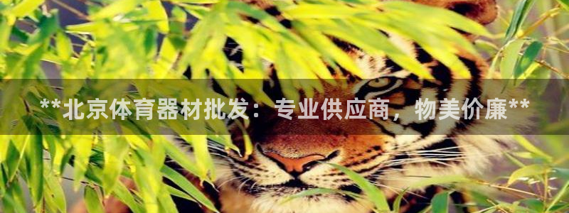 富联娱乐官方网站首页：**北京体育器材批发：专业供应