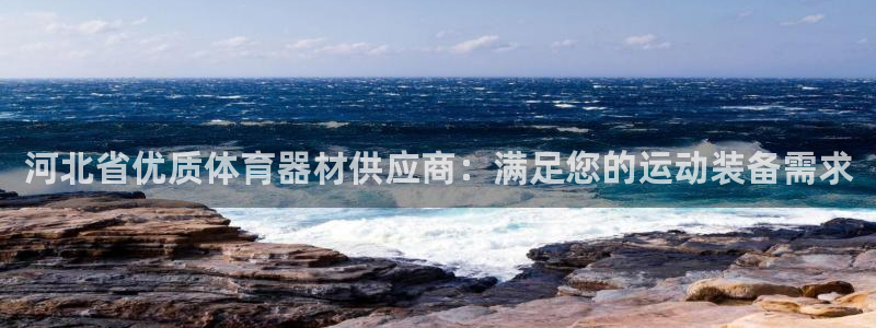 富联娱乐会员多少钱：河北省优质体育器材供应商：满足您