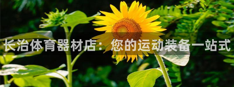 富联平台登录入口官网：长治体育器材店：您的运动装备一