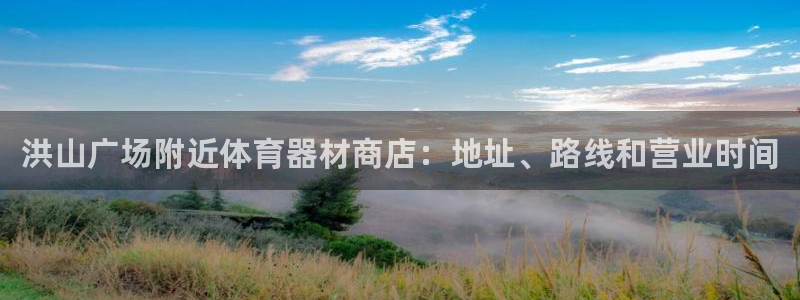 富联娱乐话 5O6917 富联：洪山广场附近体育器材