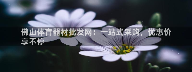 富联娱乐登录注册流程：佛山体育器材批发网：一站式采购