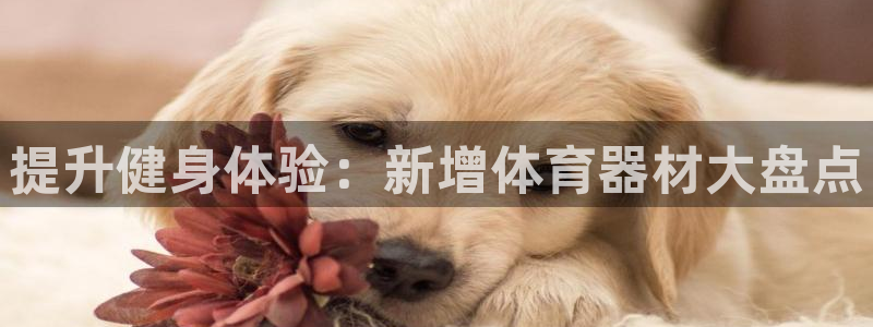 富联娱乐股东构成：提升健身体验：新增体育器材大盘点