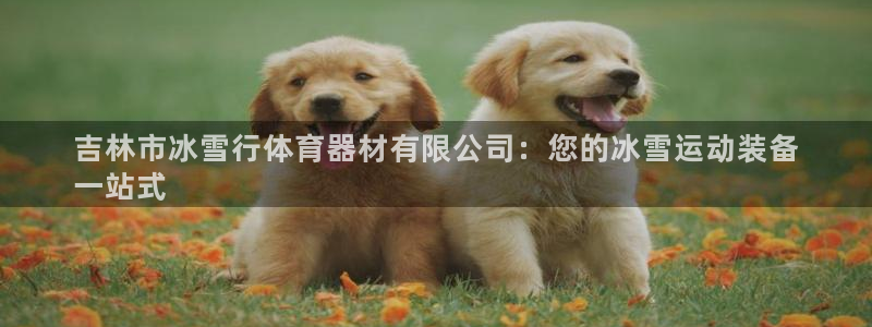 富联地产怎么样：吉林市冰雪行体育器材有限公司：您的冰