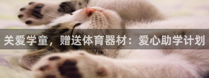 富联官方网站入口下载安卓：关爱学童，赠送体育器材：爱