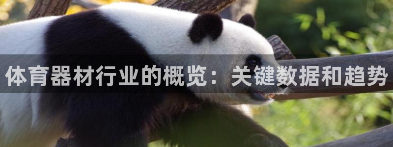 富联娱乐在线注册链接是什么软件：体育器材行业的概览：
