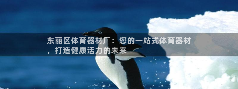 富联劳务：东丽区体育器材厂：您的一站式体育器材
，打