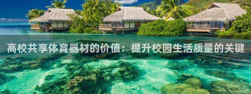 富联劳务：高校共享体育器材的价值：提升校园生活质量的