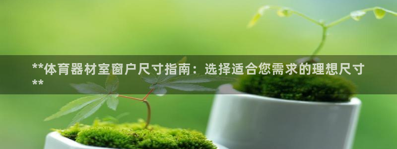 富联娱乐向 5o69I7：**体育器材室窗户尺寸指南
