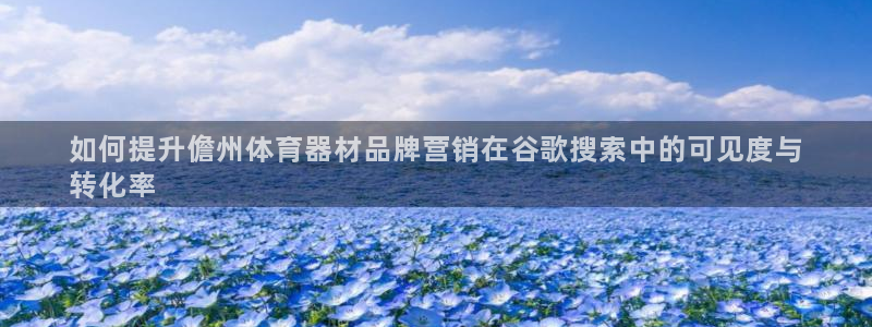 富联平台微信怎么提现：如何提升儋州体育器材品牌营销在