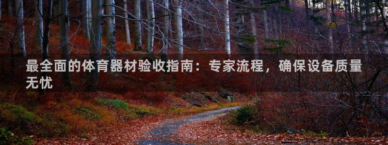 富联官方网站入口下载：最全面的体育器材验收指南：专家