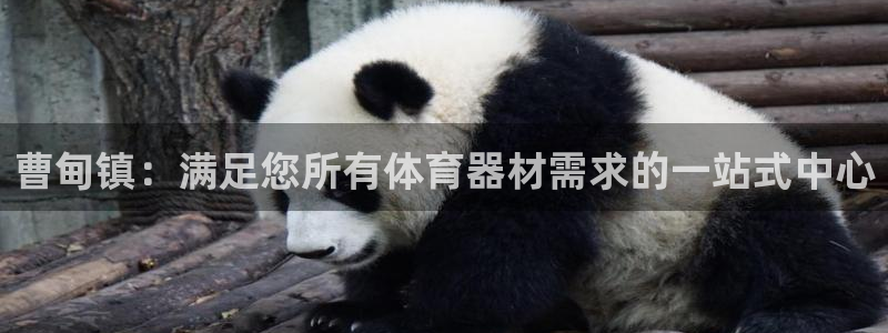 香港富联集团：曹甸镇：满足您所有体育器材需求的一站式