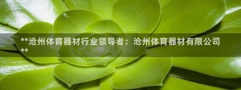 富联娱乐平台开户条件：**沧州体育器材行业领导者：沧