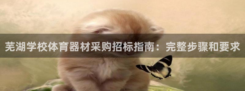富联平台登录网址是多少：芜湖学校体育器材采购招标指南