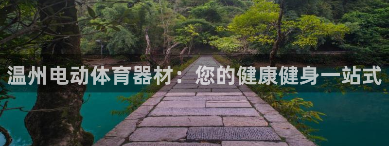 富联平台马 411O31 富联：温州电动体育器材：您