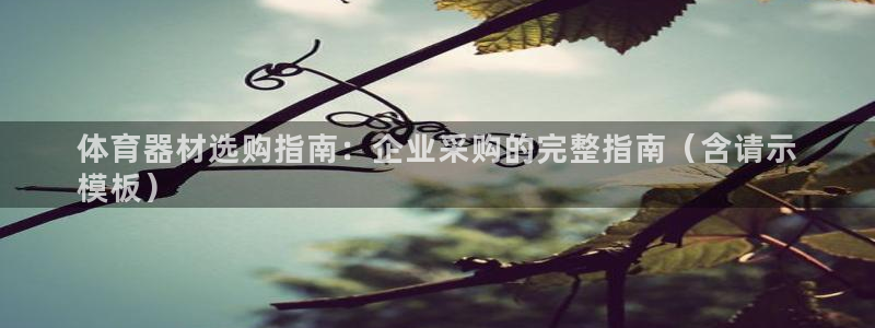 富联平台系 5O6917 富联：体育器材选购指南：企