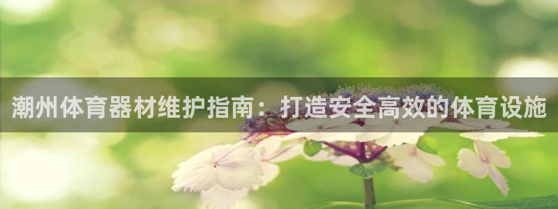 富联平台总代理电话：潮州体育器材维护指南：打造安全高