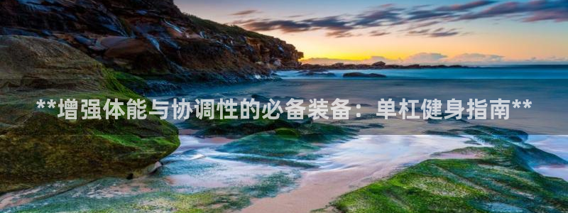 富联娱乐老板：**增强体能与协调性的必备装备：单杠健