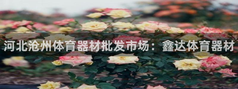 富联娱乐在线注册链接：河北沧州体育器材批发市场：鑫达