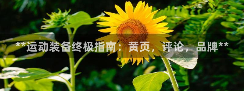 富联是什么板块：**运动装备终极指南：黄页，评论，品